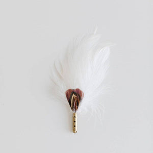 Feather – White And Brown