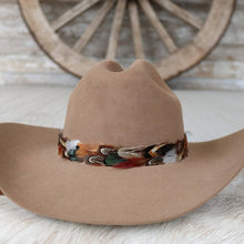 Load image into Gallery viewer, Western Feather Vistoso Hat Band