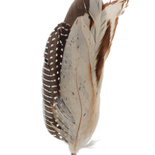 Load image into Gallery viewer, Feather Hat Accent - Cheyenne