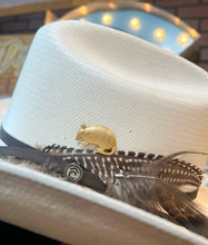 Load image into Gallery viewer, Aged Brass Armadillo Western Hat Pin Hat Bar