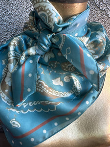 Turquoise Rust Paisley Wild Rag