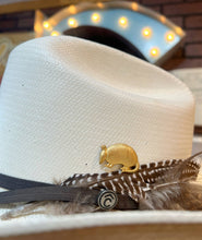 Load image into Gallery viewer, Aged Brass Armadillo Western Hat Pin Hat Bar