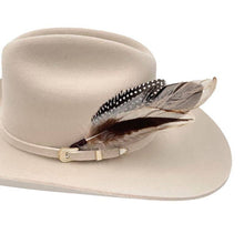 Load image into Gallery viewer, Feather Hat Accent - Cheyenne