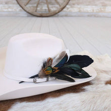 Load image into Gallery viewer, Feather Hat Accent - Risco