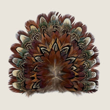 Load image into Gallery viewer, Feather Crest Rowan
