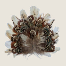 Load image into Gallery viewer, Feather Crest Avalon